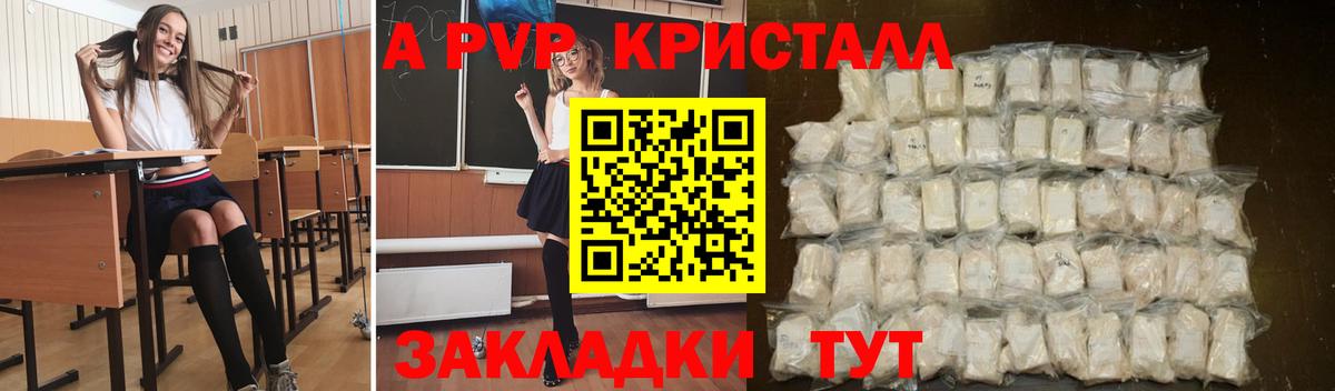 Альфа ПВП СК КРИС Холмск