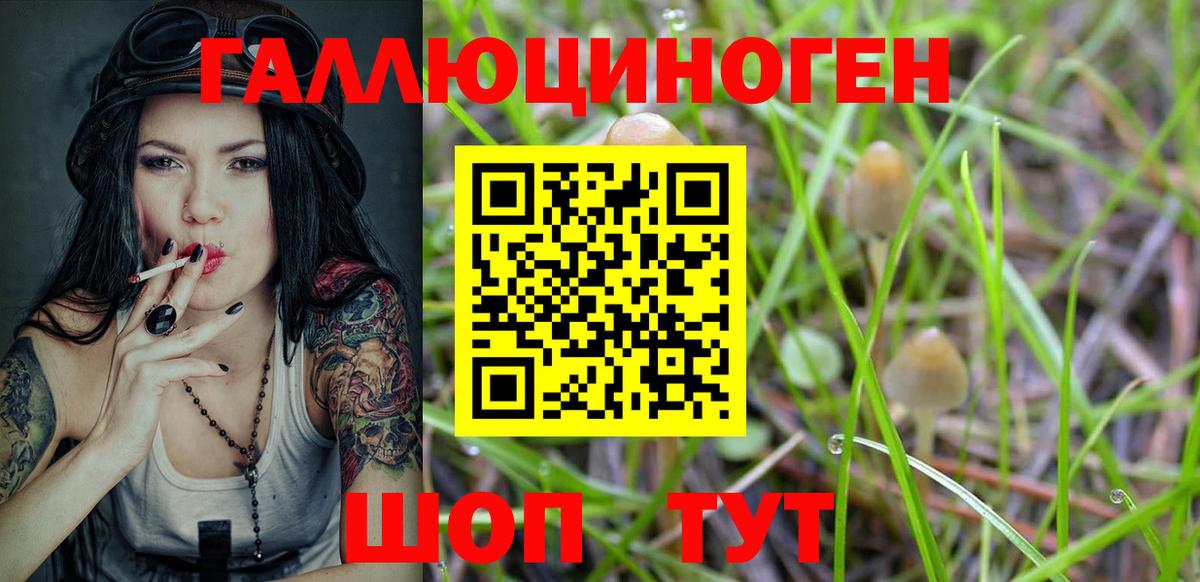 Псилоцибиновые грибы GOLDEN TEACHER  Вход с VPN  Холмск 