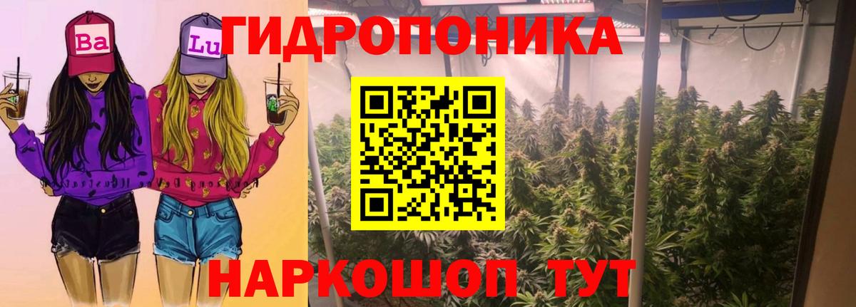 Канабис планчик  Вход с VPN  Холмск  Каннабис индика  Шишки марихуана семена 